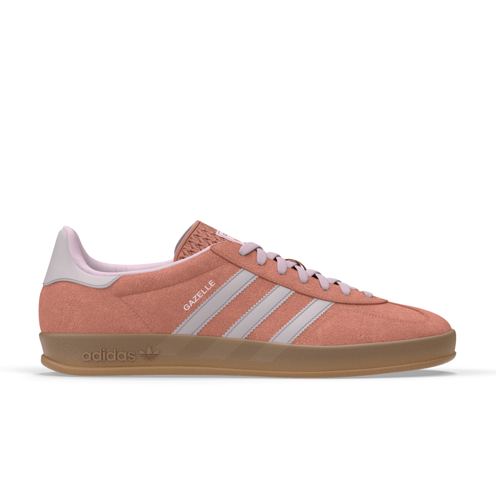 Gazelle Indoor